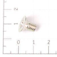 SGAB06010 Винт с плоской шляпкой M6*10 (0)